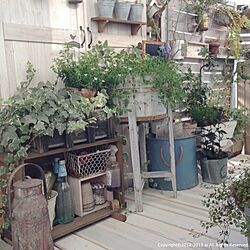 壁/天井/植物/ベランダガーデン/a.s.g/ベランダガーデニングのインテリア実例 - 2013-09-30 07:25:12