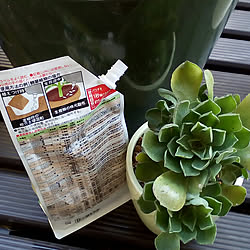 壁/天井/観葉植物/ガーデニング/多肉植物/植物のある暮らし...などのインテリア実例 - 2020-08-29 18:06:31