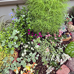 花 とうもろこしのインテリア実例 Roomclip ルームクリップ