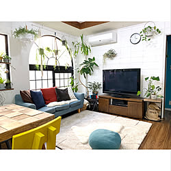 モニター応募投稿/植物のある暮らし/インスタ→kiki_nekko/リビングインテリア/観葉植物...などのインテリア実例 - 2020-02-05 16:16:10
