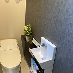 バス トイレ 雑貨 ウォーリーを探せ シンコール壁紙のインテリア実例 02 27 23 11 39 Roomclip ルームクリップ