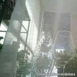 ベッド周り/観葉植物/北欧/IKEA/初投稿...などのインテリア実例 - 2017-05-29 21:49:23