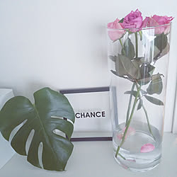 キャンドゥ花瓶のインテリア実例 Roomclip ルームクリップ