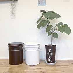 部屋全体/yamazen/ペール缶スツール/山善/山善ペール缶収納スツールモニター応募のインテリア実例 - 2018-01-29 16:48:41