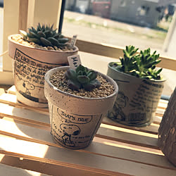 ぬいぐるみのクリーニング屋さんのインテリア実例 Roomclip ルームクリップ ぬいぐるみのクリーニング屋さんのインテリア実例 Roomclip ルームクリップ