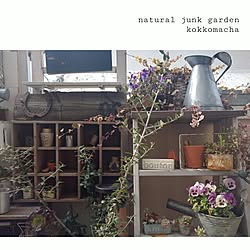 ベッド周り/朝の1枚/グリーンのある暮らし/ブログやってます(*Ü*)/いただきものいっぱいです("Ü")...などのインテリア実例 - 2016-03-04 07:57:49