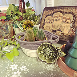 ジブリ 水彩のおしゃれなアレンジ 飾り方のインテリア実例 Roomclip ルームクリップ