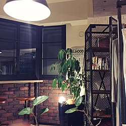 部屋全体/無造作/夜/ブルックリン/椅子...などのインテリア実例 - 2017-06-23 20:37:09