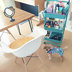 アクセントクロス トイストーリーのインテリア実例 Roomclip ルームクリップ