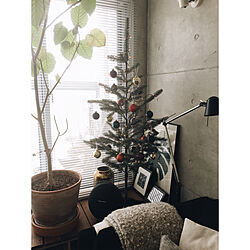 冬の暮らし/季節感のある暮らし/クリスマス/クリスマスツリー/IKEA...などのインテリア実例 - 2020-12-01 23:16:20