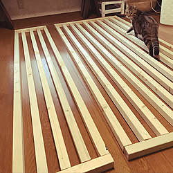 玄関 入り口 塗装diy スライドロック 鍵 脱走防止柵 などのインテリア実例 18 07 28 35 25 Roomclip ルームクリップ