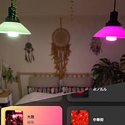 Hue Bluetooth/Philips Hue/スマートホーム/照明/観葉植物のある暮らし...などのインテリア実例 - 2020-04-22 22:31:19