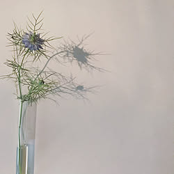 ドライフラワー 黒漆喰のインテリア実例 Roomclip ルームクリップ