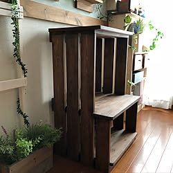 金魚 ウーパールーパーのインテリア実例 Roomclip ルームクリップ