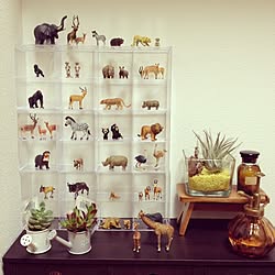 ダイソー 動物フィギュアのインテリア実例 Roomclip ルームクリップ ダイソー 動物フィギュアのインテリア実例 Roomclip ルームクリップ