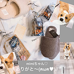 スリッパ/犬/いぬのいる暮らし/いぬと暮らす/ハロウィン...などのインテリア実例 - 2019-10-04 08:08:11
