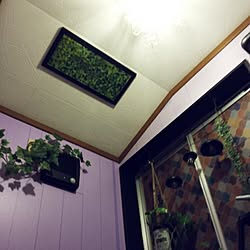 バス/トイレ/mt CASA/RCの出会いに感謝♡/皆様❥❥に憧れて/お部屋改造CHU❥❥...などのインテリア実例 - 2015-07-24 21:44:10