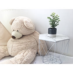 ダイソー くまのぬいぐるみのインテリア実例 Roomclip ルームクリップ ダイソー くまのぬいぐるみのインテリア実例 Roomclip ルームクリップ
