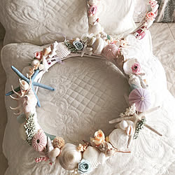 貝殻と珊瑚のインテリア実例 Roomclip ルームクリップ