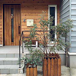 玄関 入り口 ユーカリ鉢植えのインテリア実例 Roomclip ルームクリップ