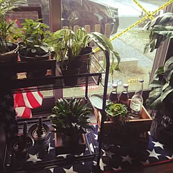 部屋全体/コメントありがとうございます♡/いいね!ありがとうございます♪/フォローありがとうございます☆/アメリカンスタイル...などのインテリア実例 - 2016-03-28 11:21:14