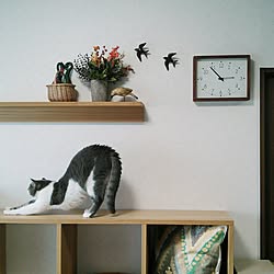 リビング ニトリ 壁掛け時計 時計 ねこ などのインテリア実例 17 07 09 08 09 52 Roomclip ルームクリップ リビング ニトリ 壁掛け時計 時計 ねこ などのインテリア実例 17 07 09 08 09 52 Roomclip ルームクリップ