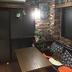 猫2匹居てます♡/スノコ棚/観葉植物のある部屋/時計/壁紙屋本舗...などのインテリア実例 - 2017-05-13 20:29:51