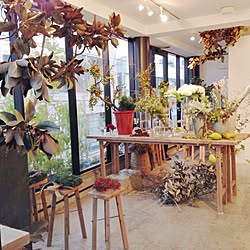 吉祥寺 花屋のインテリア実例 Roomclip ルームクリップ