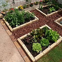 Diy ポタジェのインテリア 手作りの実例 Roomclip ルームクリップ