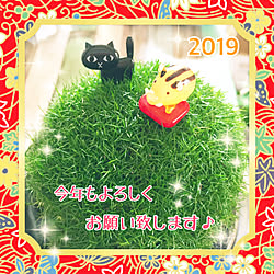 部屋全体/もふリッチ/黒猫ピック/ガラス細工のいのししさん☆*。/グリーンのある暮らし...などのインテリア実例 - 2019-01-06 15:08:43