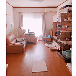 モニター応募投稿/猫カフェ化計画/マクアケ/猫の箱庭/ラグタス...などのインテリア実例 - 2020-09-18 18:18:10