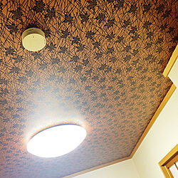 壁紙/和室/壁/天井のインテリア実例 - 2021-08-13 09:33:52
