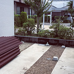 オリーブ 雨よけのおしゃれなアレンジ 飾り方のインテリア実例 Roomclip ルームクリップ