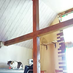 部屋全体/秘密基地/ドラマに出てくるかわいいお部屋にしたい/DIY/ディスプレイ...などのインテリア実例 - 2017-05-20 12:11:34