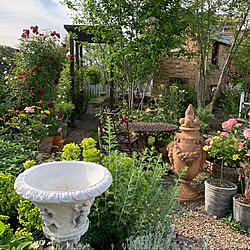 井戸風花壇 井戸の滑車 井戸風 フランス ヨーロッパ風 などのインテリア実例 08 23 15 08 31 Roomclip ルームクリップ