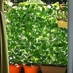 ベランダ 100均 ベランダ目隠し フェイクグリーン ニトリ などのインテリア実例 19 01 23 11 19 18 Roomclip ルームクリップ