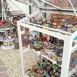 多肉植物 温室のインテリア実例 Roomclip ルームクリップ 多肉植物 温室のインテリア実例 Roomclip ルームクリップ