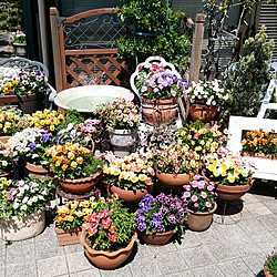 オベリスク手作りのインテリア実例 Roomclip ルームクリップ