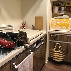 キッチンツールキャニスター/キッチンツールスタンド/ツールスタンド/手ぬぐい/てぬぐい...などのインテリア実例 - 2019-05-22 00:58:33