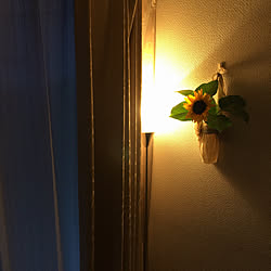 壁掛け花瓶のインテリア実例 Roomclip ルームクリップ 壁掛け花瓶のインテリア実例 Roomclip ルームクリップ