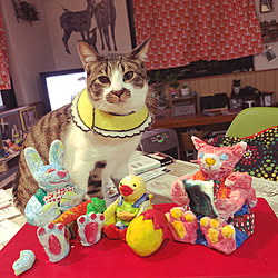 うさぎ 紙粘土のインテリア実例 Roomclip ルームクリップ