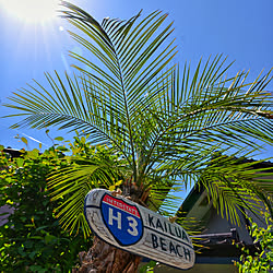 ハワイテイストのインテリア実例 Roomclip ルームクリップ