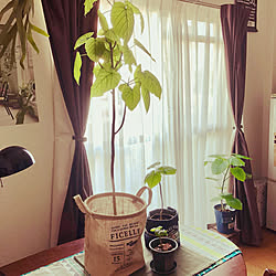部屋全体/IKEA/niko and…×いなざうるす/niko and…/1号から4号まで...などのインテリア実例 - 2018-07-19 12:23:52