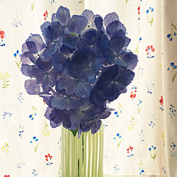 ブルーファンタジア 花のある暮らしのインテリア実例 Roomclip ルームクリップ ブルーファンタジア 花のある暮らしのインテリア実例 Roomclip ルームクリップ