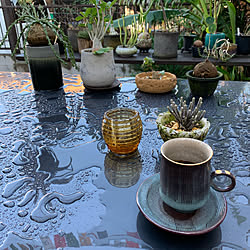 陶芸家/コーヒーカップ&ソーサー/朝のコーヒーTime/植物観察の記録/植物...などのインテリア実例 - 2019-11-04 08:08:33