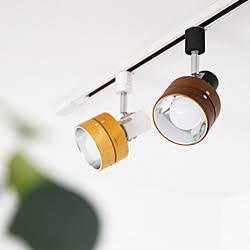 ニトリの照明 壁 天井 照明器具 プラントハンガー ダクトレール などのインテリア実例 17 01 19 13 27 13 Roomclip ルームクリップ