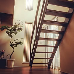 ヘーベルハウス スケルトン階段のインテリア実例 Roomclip ルームクリップ