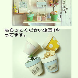 部屋全体/RCの出会いに感謝♡/忙しくても楽しんで♡/癒し/感謝。.:*ฺ✤ฺ...などのインテリア実例 - 2020-06-13 08:16:10