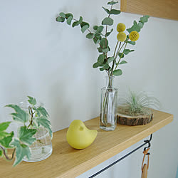 ユーカリの水挿しのインテリア実例 Roomclip ルームクリップ