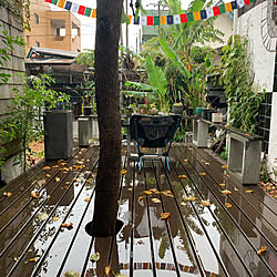 ウッドデッキgarden/ウッドデッキのある暮らし/ウッドデッキ/雨/コーヒー...などのインテリア実例 - 2019-09-29 07:34:29